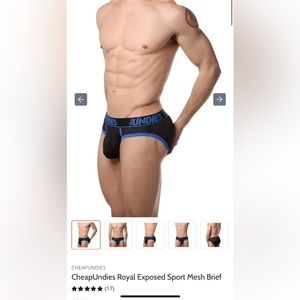 CheapUndies Royal Exposed Sport Mesh Brief- XL